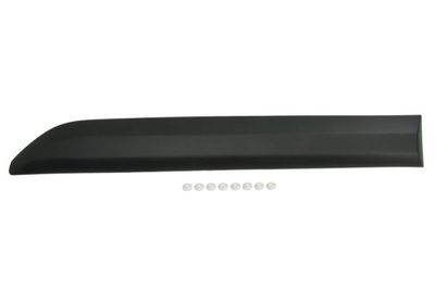 Trim/Protection Strip, door BLIC 5703-04-0559576P