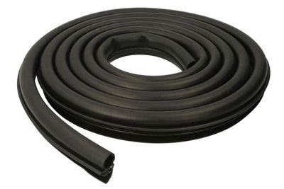 Door Seal BLIC 5703-04-2050501P