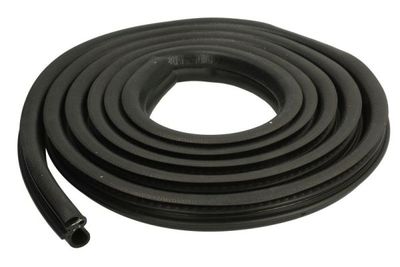 Door Seal BLIC 5703-04-2052501P