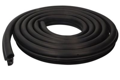 Door Seal BLIC 5703-04-2555501P