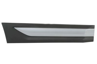 Trim/Protection Strip, door BLIC 5703-04-3753574P