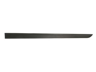 Trim/Protection Strip, wing BLIC 5703-04-5052571P