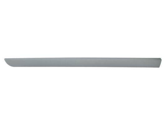 BLIC 5703-04-6042575P Trim/Protection Strip, wing