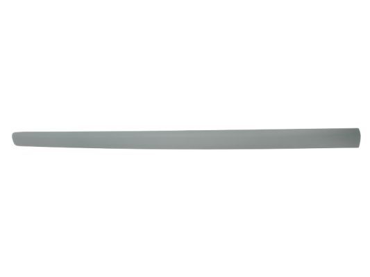 BLIC 5703-04-9506575P Trim/Protection Strip, wing