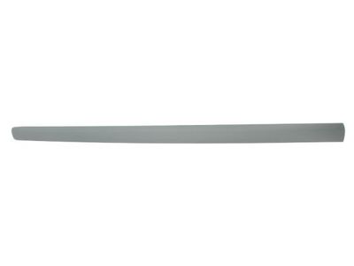 Trim/Protection Strip, wing BLIC 5703-04-9506575P