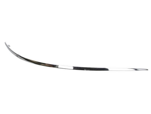 BLIC 5703-05-3506922P Trim/Protection Strip, bumper
