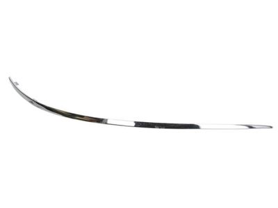 Trim/Protection Strip, bumper BLIC 5703-05-3506922P