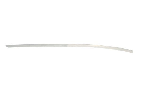 BLIC 5703-05-3506924P Trim/Protection Strip, bumper