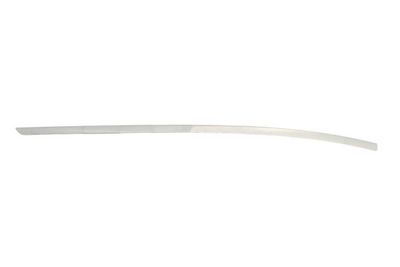 Trim/Protection Strip, bumper BLIC 5703-05-3506924P