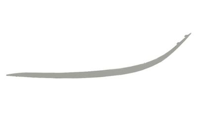 Trim/Protection Strip, bumper BLIC 5703-05-3528926P