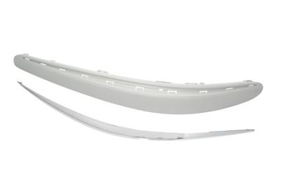 Trim/Protection Strip, bumper BLIC 5703-05-3528927P