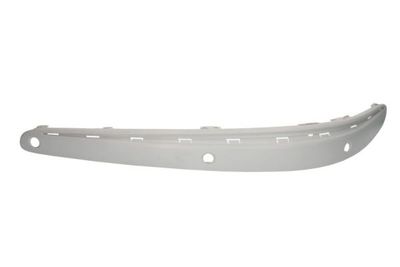 Trim/Protection Strip, bumper BLIC 5703-05-3528929P