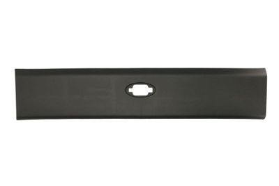 Trim/Protection Strip, quarter panel BLIC 5703-06-6089573P