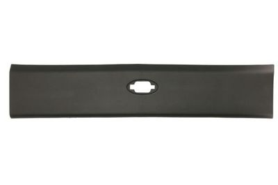 Trim/Protection Strip, quarter panel BLIC 5703-06-6089574P