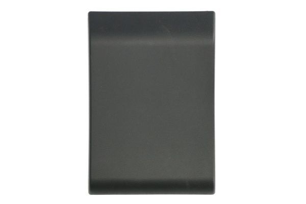 BLIC 5703-06-6089575PP Trim/Protection Strip, quarter panel