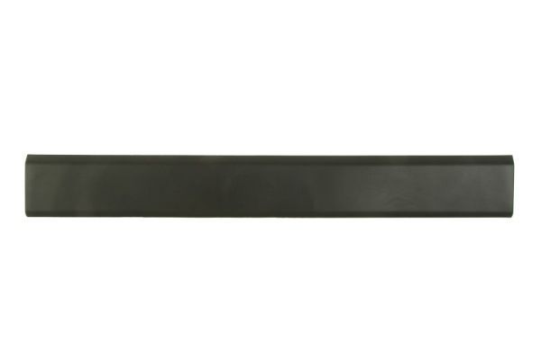 BLIC 5703-06-6089576FP Trim/Protection Strip, quarter panel