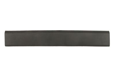 Trim/Protection Strip, quarter panel BLIC 5703-06-6089576SP