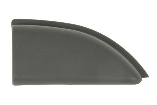 BLIC 5703-06-6089580P Trim/Protection Strip, quarter panel