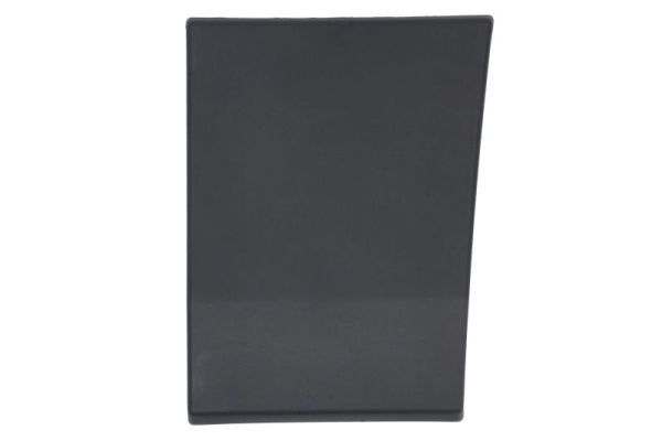 BLIC 5703-06-9564571P Trim/Protection Strip, quarter panel