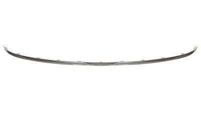 Trim/Protection Strip, bumper BLIC 5703-11-0051971P