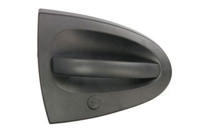 Exterior Door Handle BLIC 6010-02-004402P