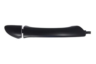 Exterior Door Handle BLIC 6010-02-031402P