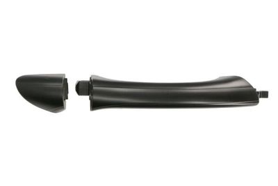 Exterior Door Handle BLIC 6010-02-031404P