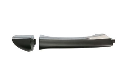 Exterior Door Handle BLIC 6010-02-034402P