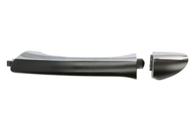 Exterior Door Handle BLIC 6010-02-034403P
