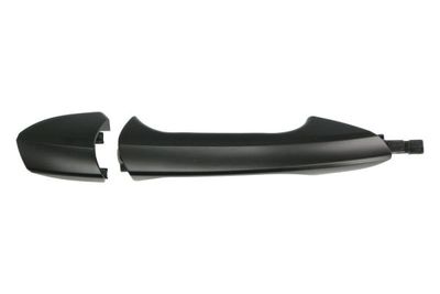 Exterior Door Handle BLIC 6010-02-053402P