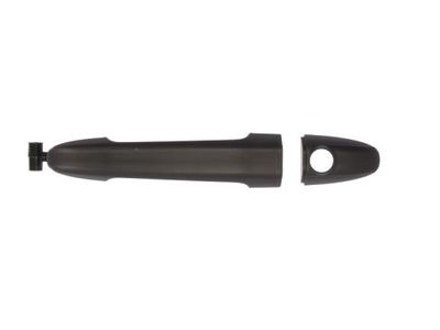 Exterior Door Handle BLIC 6010-02-065401P