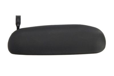 Exterior Door Handle BLIC 6010-03-017404P