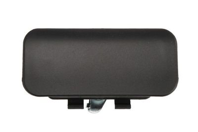 Exterior Door Handle BLIC 6010-03-025410P