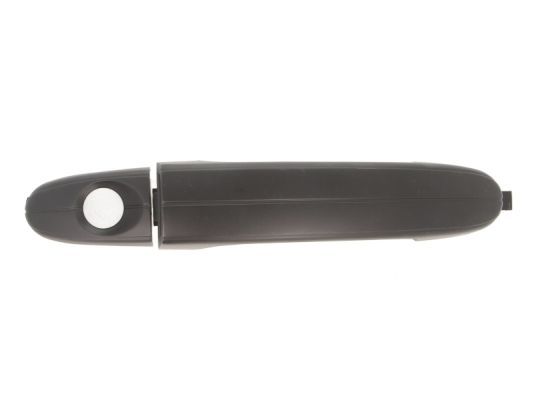 BLIC 6010-03-043401P Exterior Door Handle