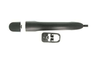 Exterior Door Handle BLIC 6010-03-048402P