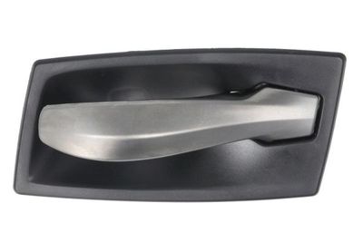 Door Handle, interior equipment BLIC 6010-05-017409P