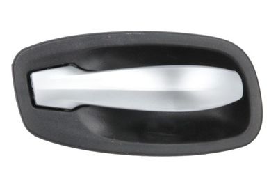 Door Handle, interior equipment BLIC 6010-05-017409PP