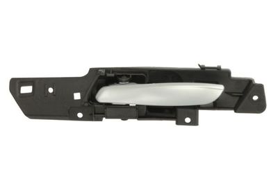 Door Handle, interior equipment BLIC 6010-05-022409TP