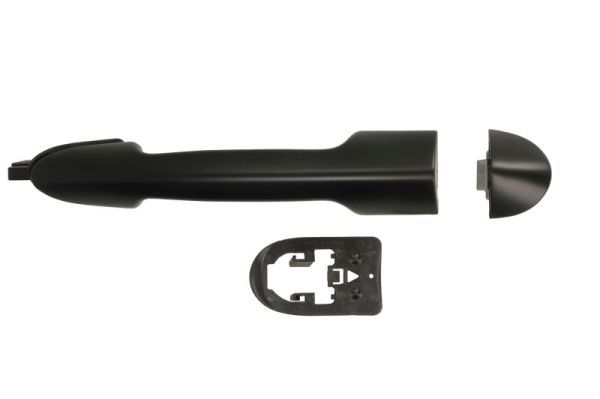 BLIC 6010-07-030420LPPP Exterior Door Handle