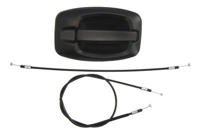Exterior Door Handle BLIC 6010-07-038410PP