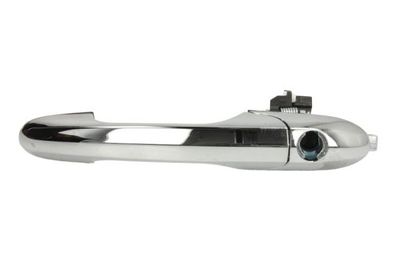Exterior Door Handle BLIC 6010-07-041401P