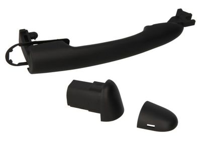 Exterior Door Handle BLIC 6010-09-040405P