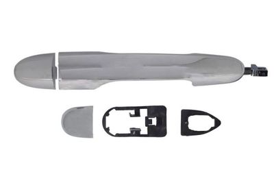 Exterior Door Handle BLIC 6010-09-040405PPP