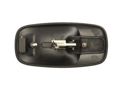 Exterior Door Handle BLIC 6010-09-041417P