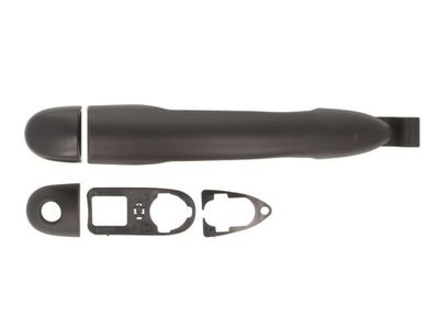 Exterior Door Handle BLIC 6010-09-049405P