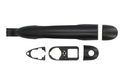 Exterior Door Handle BLIC 6010-09-049405PP