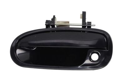 Exterior Door Handle BLIC 6010-12-028401PP