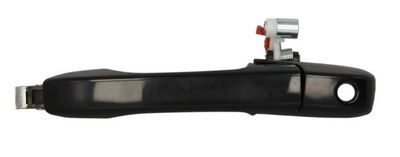 Exterior Door Handle BLIC 6010-12-046401P