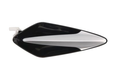 Exterior Door Handle BLIC 6010-12-049402P