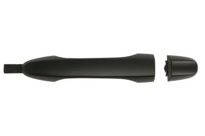 Exterior Door Handle BLIC 6010-12-052403P